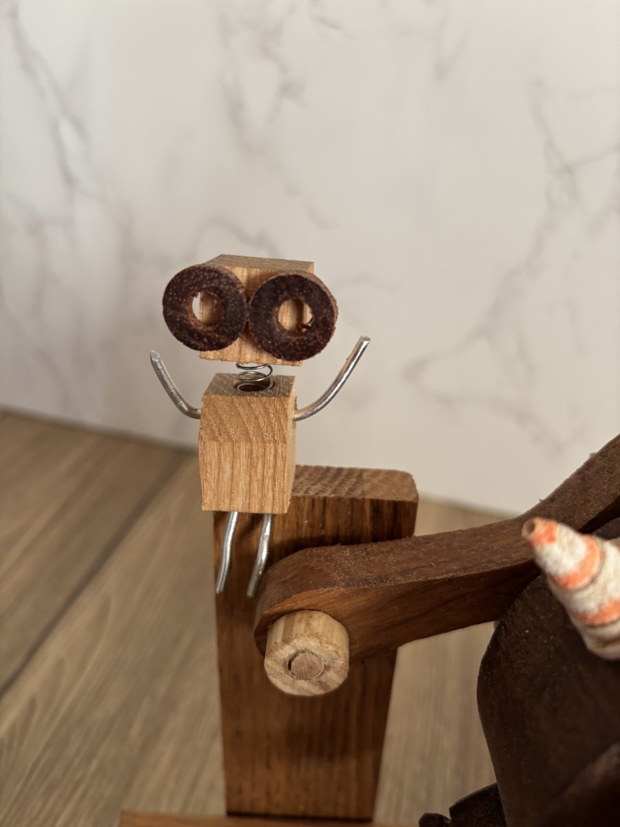 The Bots Friend looking on.