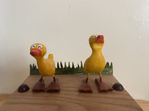 Dancing Ducks